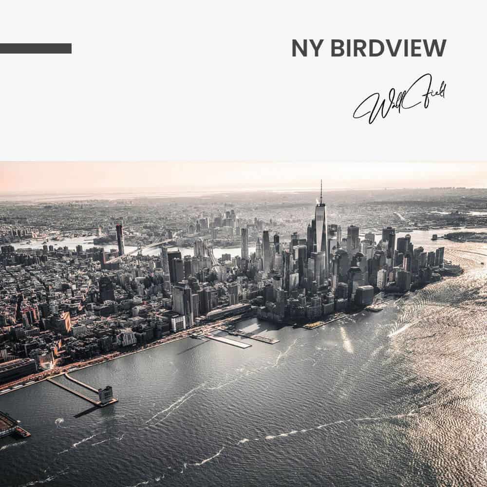NY Birdview - Glass