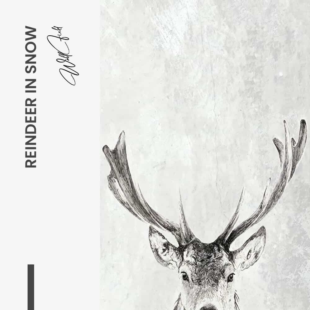 Reindeer in snow - Glass