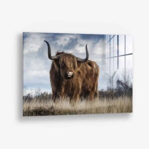 Muskox - glass