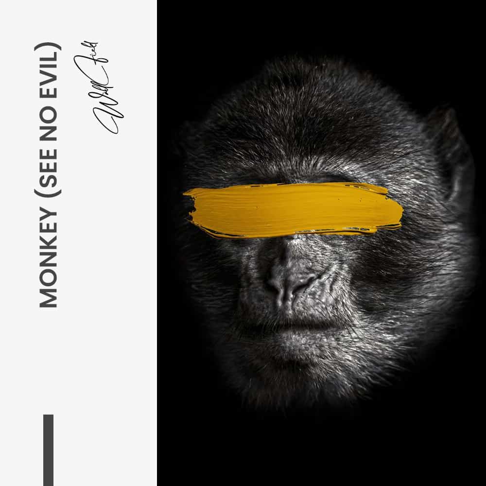 Bundle: “3 Wise Monkeys” (3x) - Glass - Kopiëren