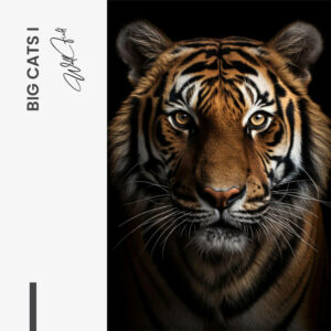 Design signature III - tiny