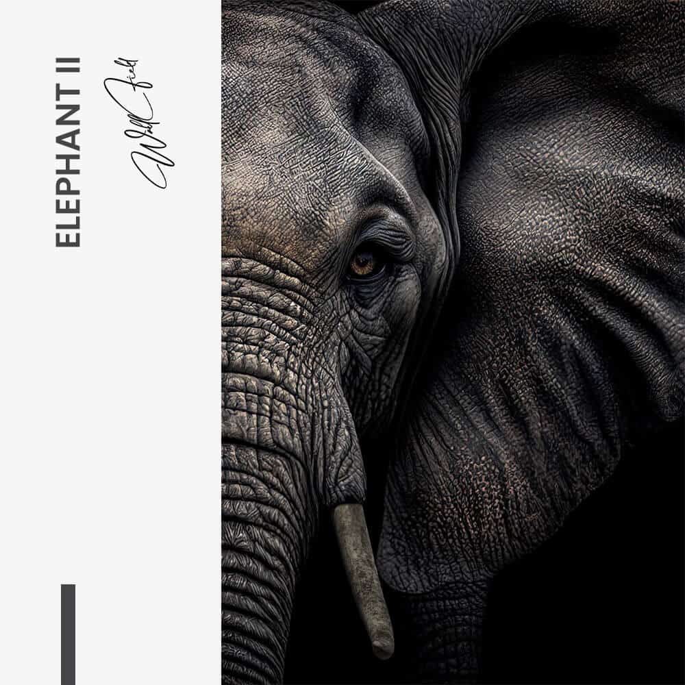 Design signature II