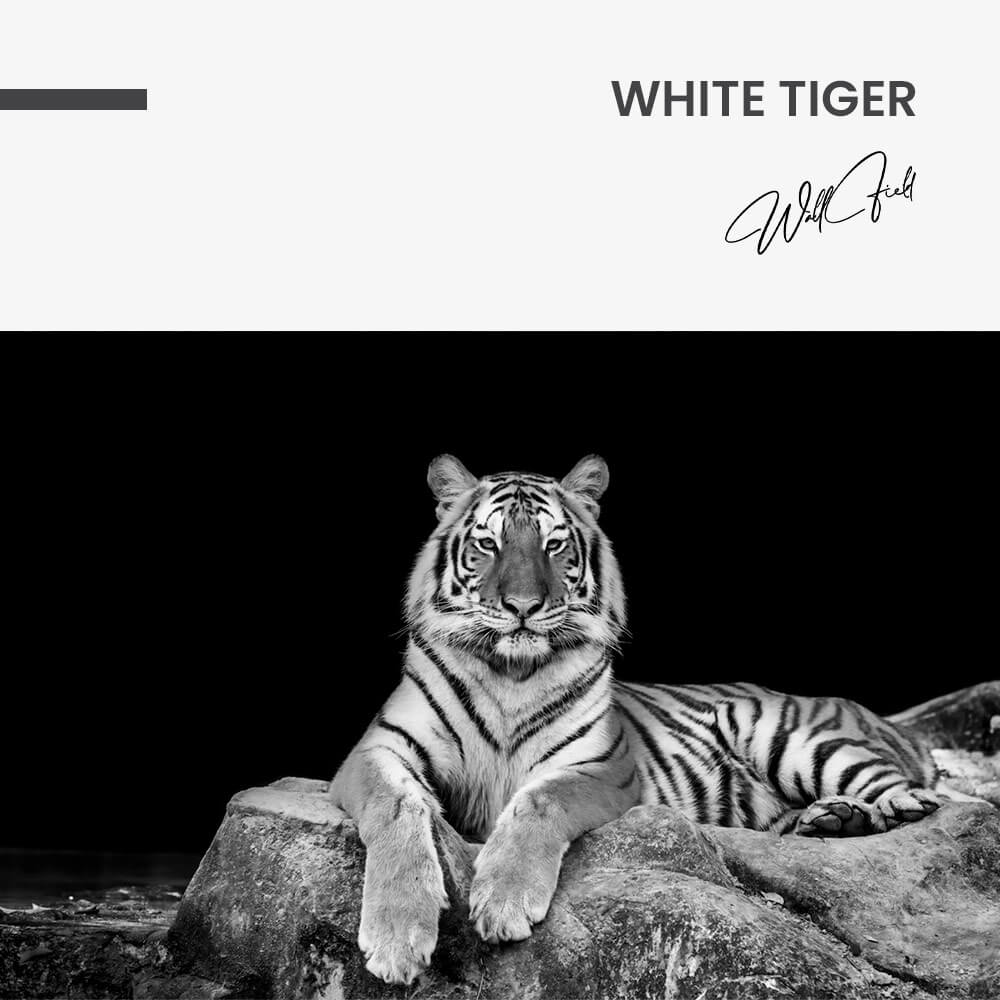 7. Design signature