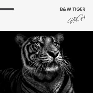 7. Design signature