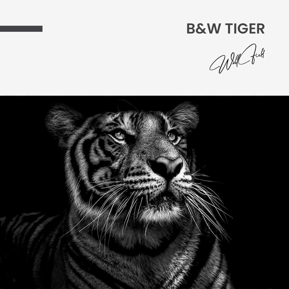 7. Design signature