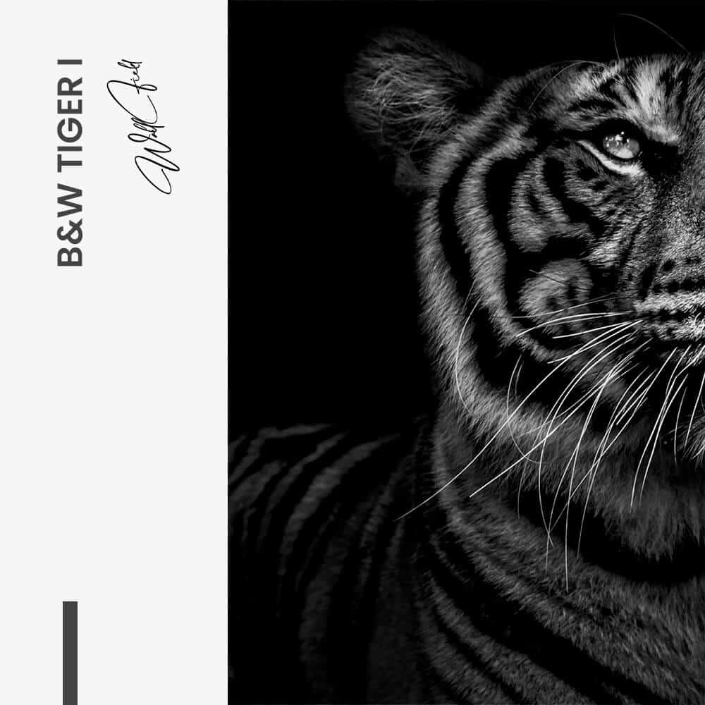 Design Signature I - tiny