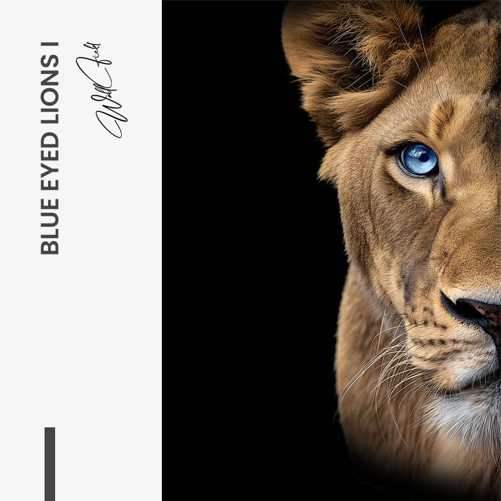 7.-Design-signature-1-2.jpg