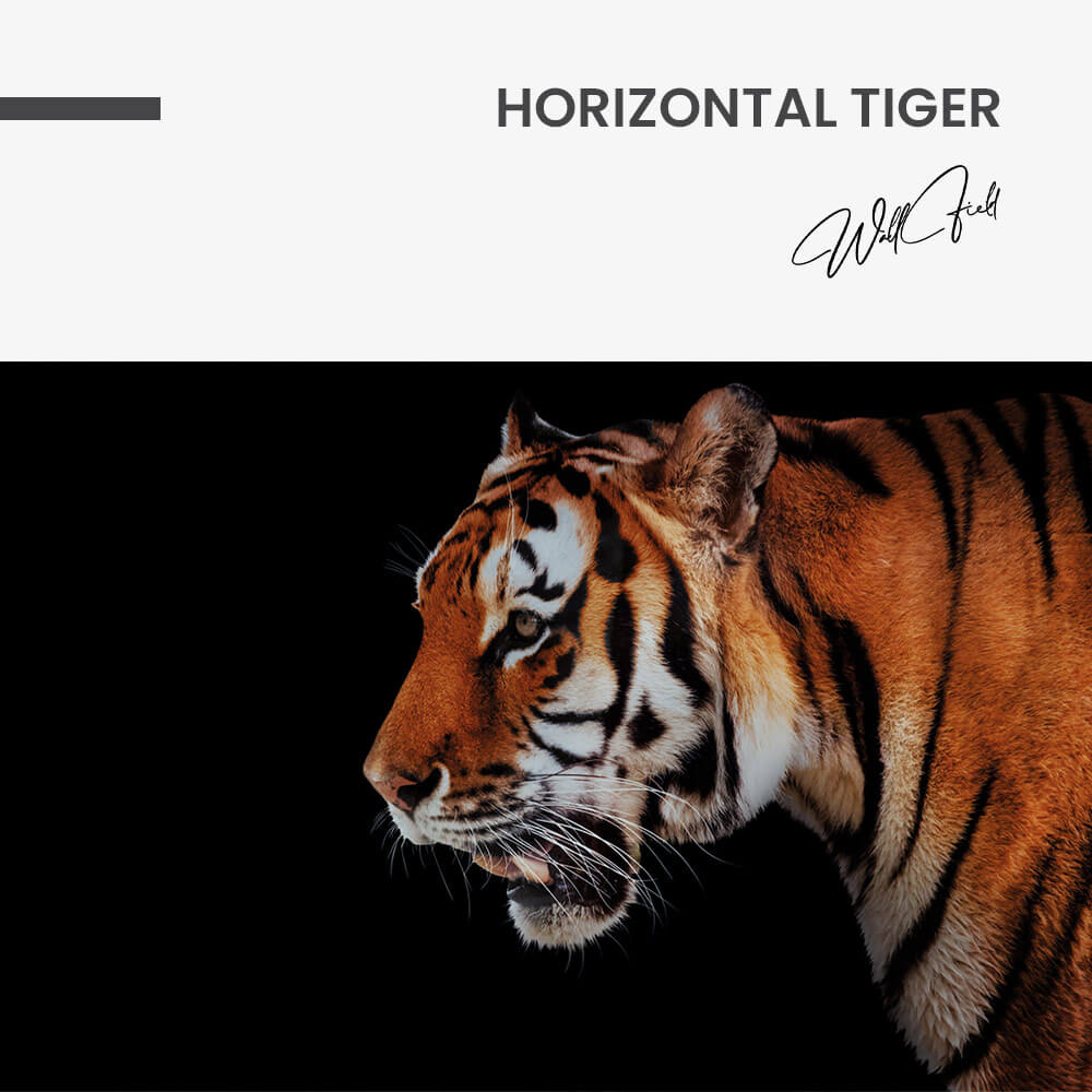 7.-Design-signature-84.jpg