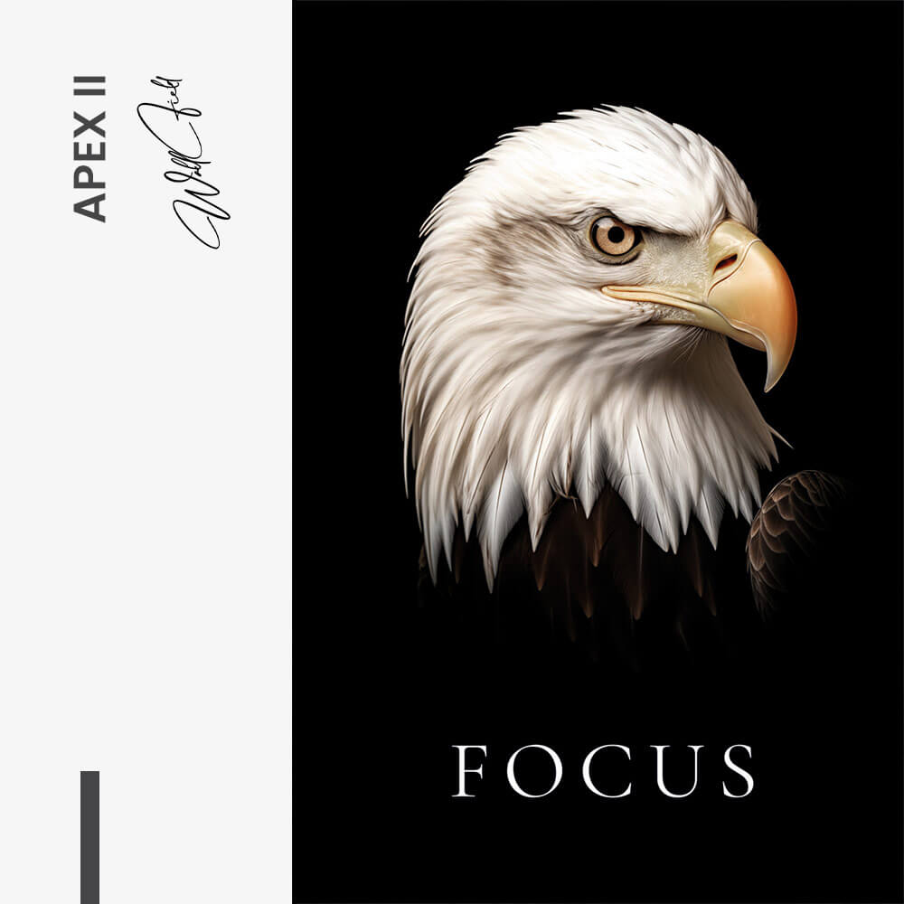 Design-signature-II-tiny-9.jpg
