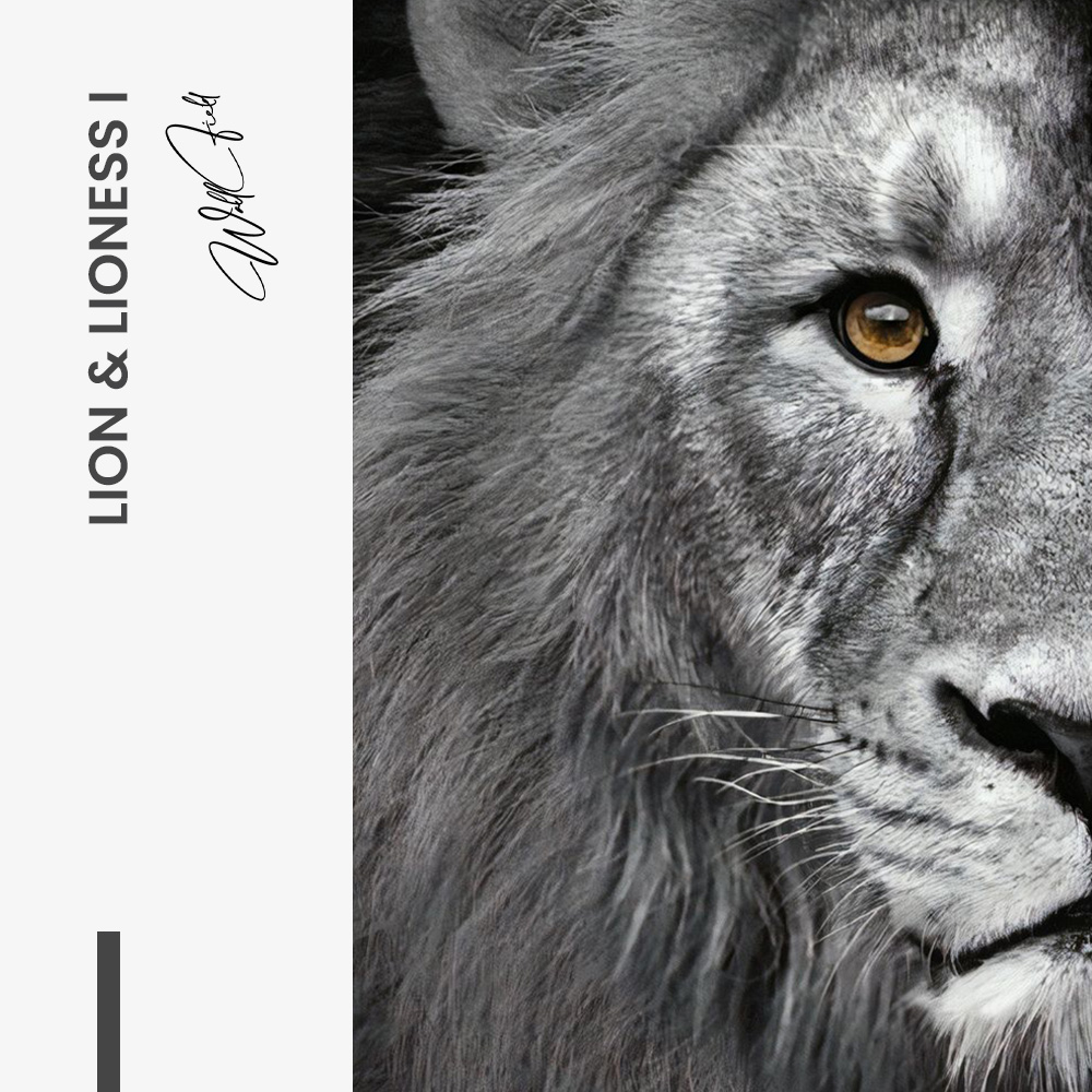 LionLionessIDesign-signature.jpg
