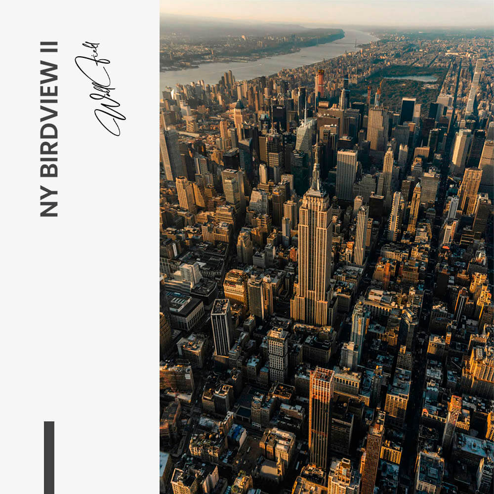 11.-Design-signature-NY-Birdview-II