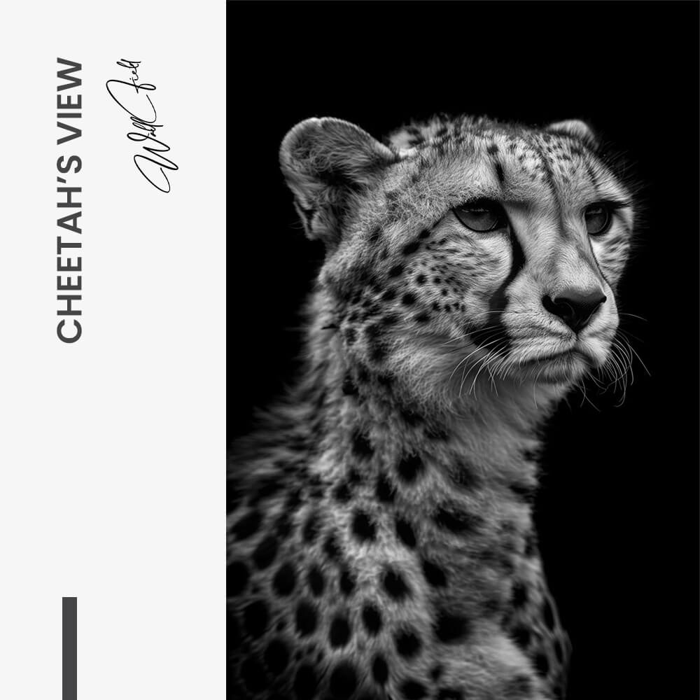 11.-Design-signature-Cheetah's-View