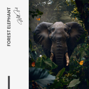 11.-Design-signature-Forest-Elephant