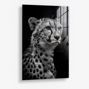 8.-Glass-Detail-1-Cheetah's-View