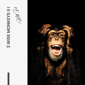 7.-Design-signature-1-Bundle-3-Wise-Monkeys-II
