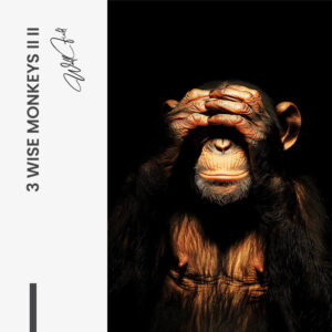 8.-Design-signature-2-Bundle-3-Wise-Monkeys-II