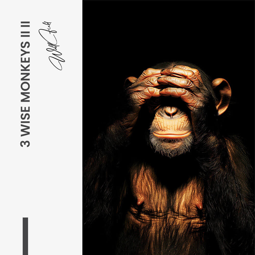8.-Design-signature-2-Bundle-3-Wise-Monkeys-II