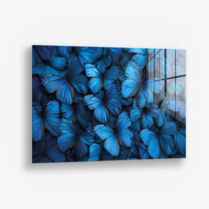 8.-Glass-Detail-1-Butterfly-Sea